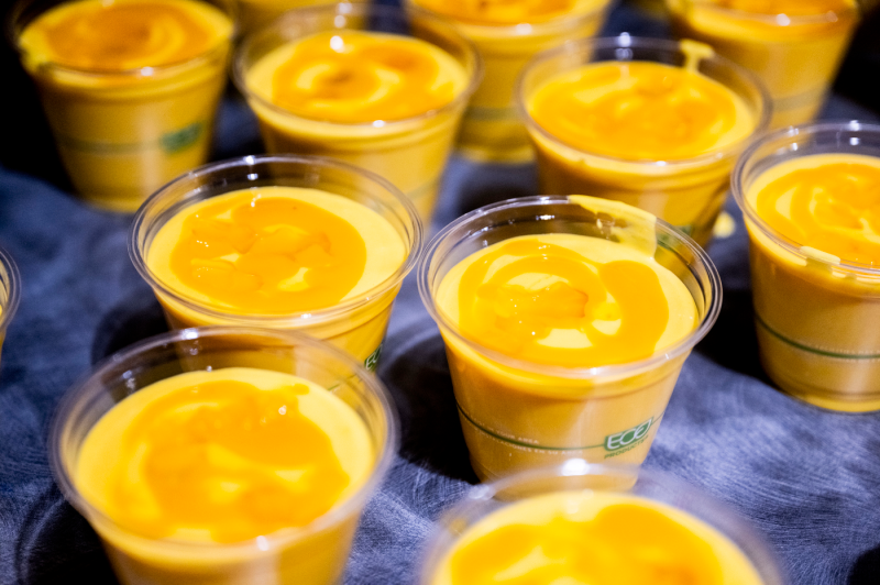 Mango Lacey Cup at El Hall, Northeastern University