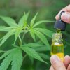 Many people try cannabis for back pain. Now new research from Europe shows it may be an effective option.