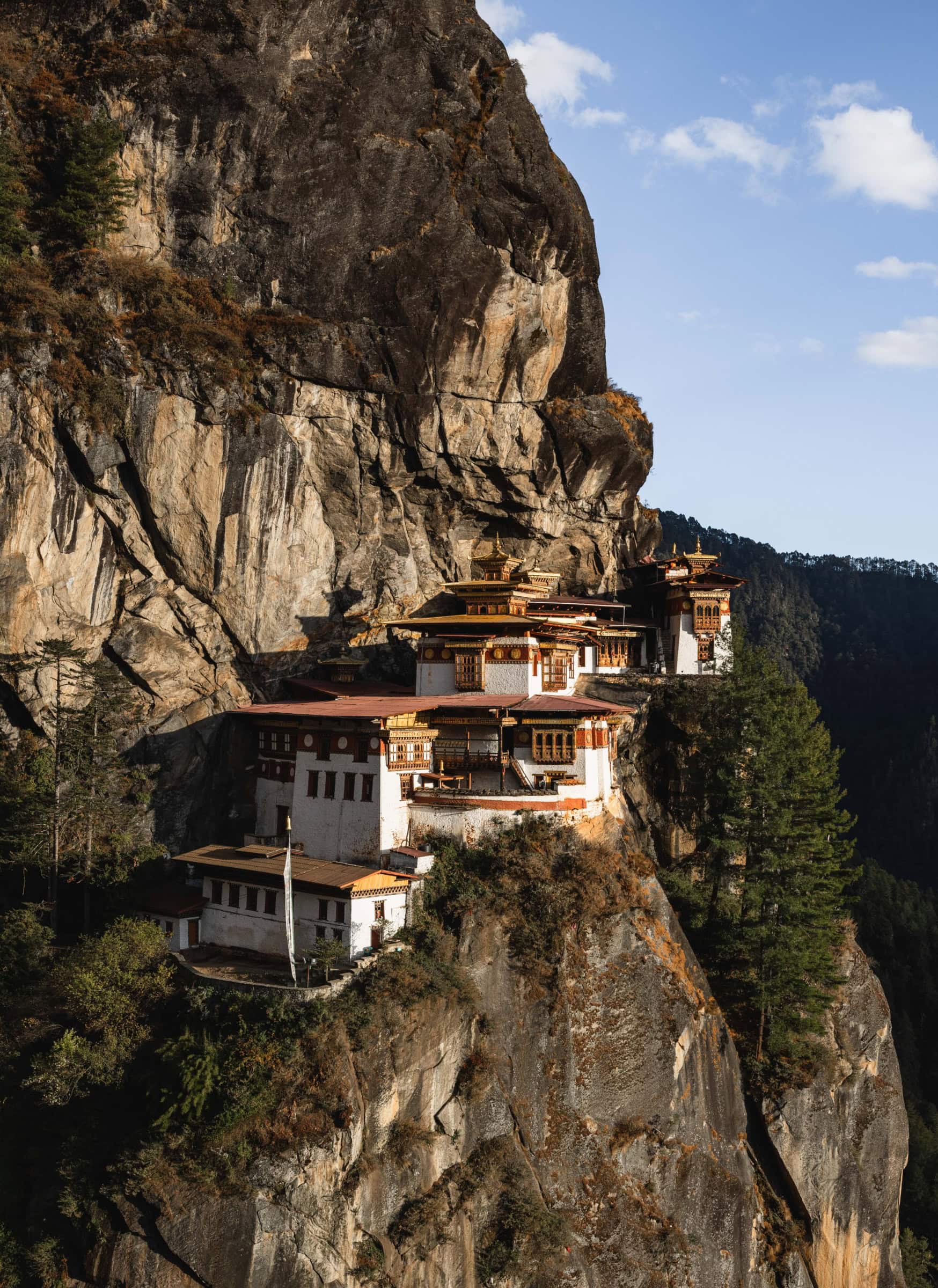 Artist life Experience the endless natural beauty and tranquility of Bhutan