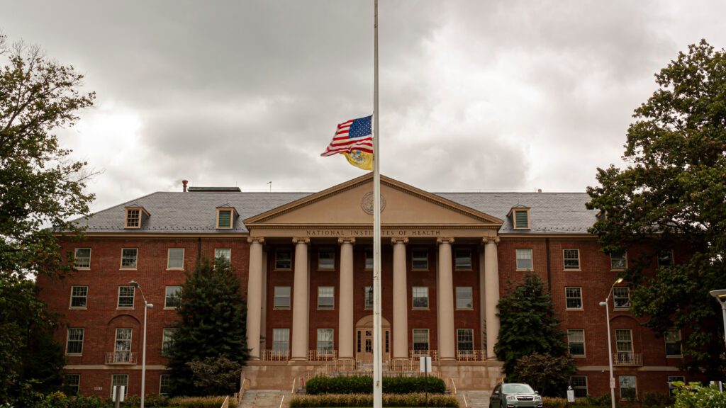 NIH grant awards delayed (again)