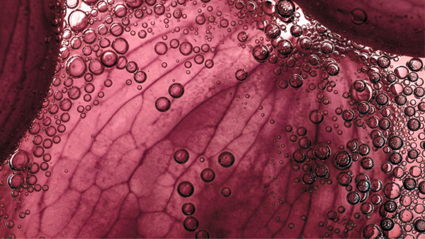 Simres is creating a new division of care and wellness