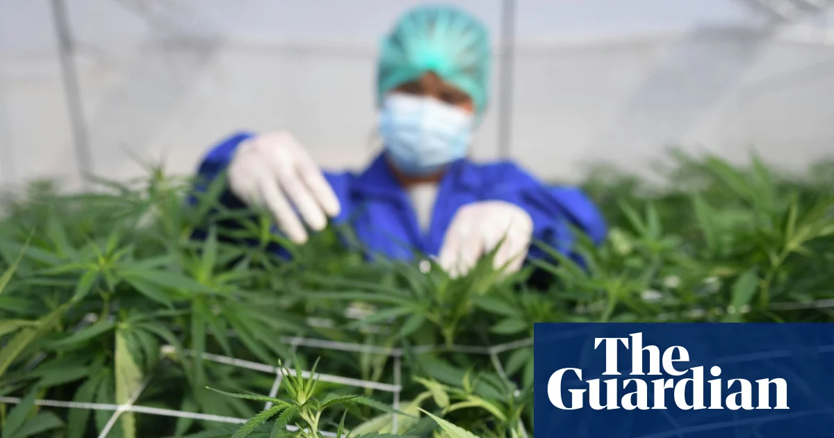 The review states that cannabis is not an effective treatment for common mental health conditions